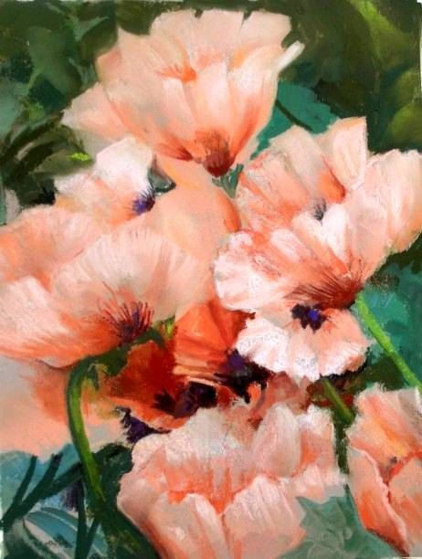 Pink Poppies